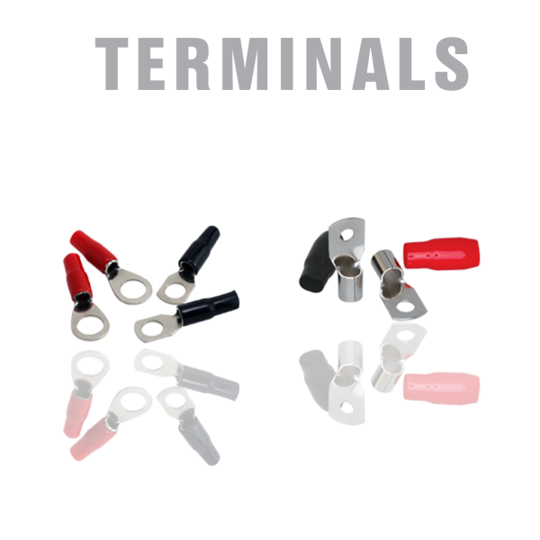 Terminals