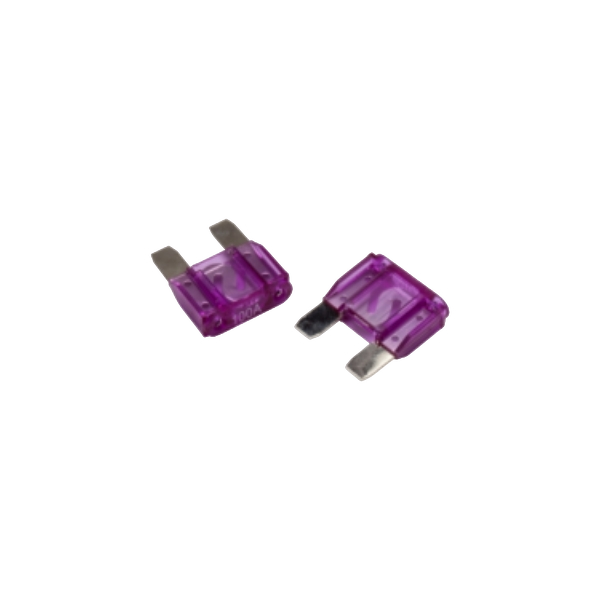 RFFM100 - Rockford Fosgate - 100 amp Maxi Fuses